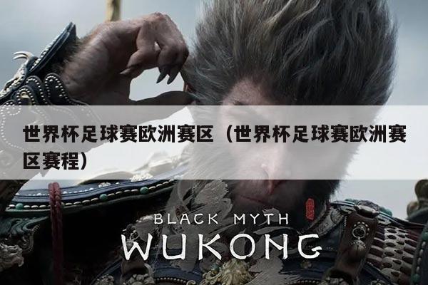 世界杯足球赛欧洲赛区（世界杯足球赛欧洲赛区赛程）