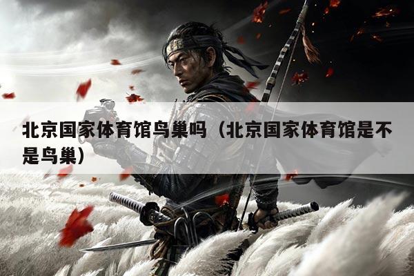北京国家体育馆鸟巢吗（北京国家体育馆是不是鸟巢）