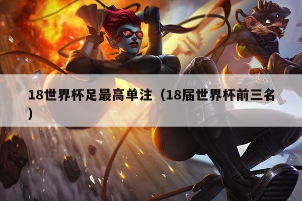 18世界杯足最高单注（18届世界杯前三名）