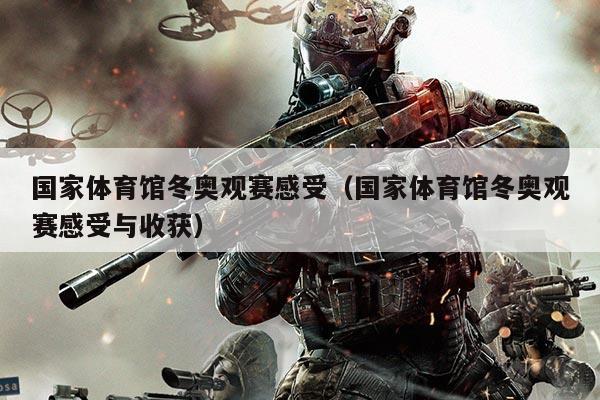 国家体育馆冬奥观赛感受（国家体育馆冬奥观赛感受与收获）