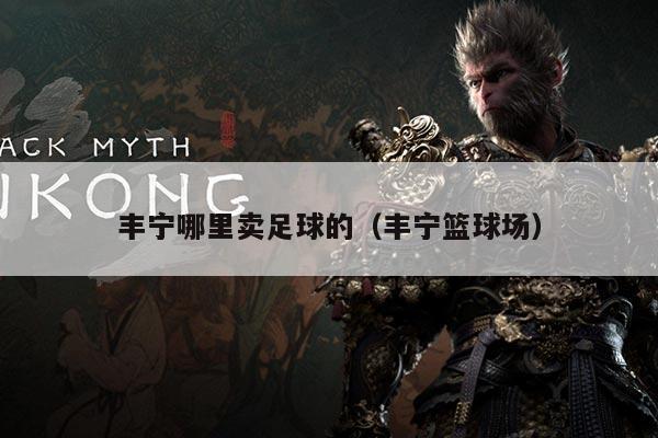 丰宁哪里卖足球的（丰宁篮球场）